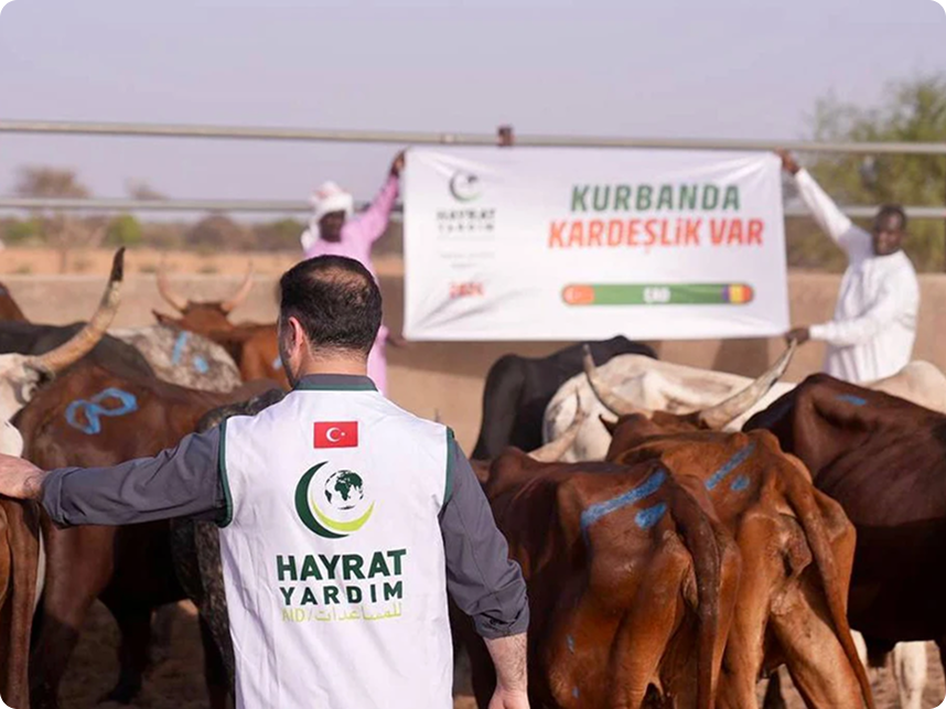 Yurt dışı kurban faaliyetleri